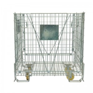 애완 동물 사전 컨테이너